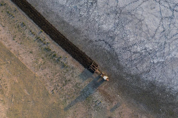 Traktör tarlayı sürüyor, Pampas kırsalında, La Pampa, Arjantin