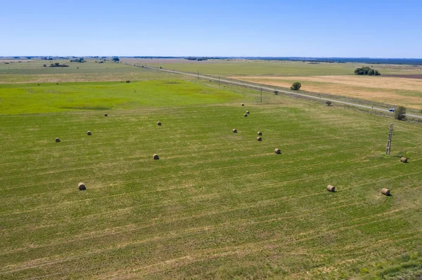 Bale of grass storage in La Pampa countryside, Argentina.