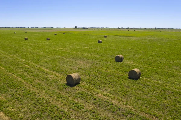Bale of grass storage in La Pampa countryside, Argentina.