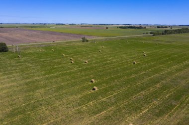 Çimen balyası, La Pampa kırsalında çim deposu, Patagonya, 