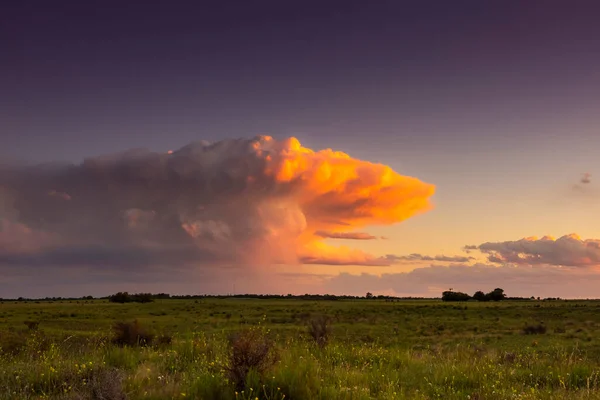 Burzliwe Niebo Zachodzie Słońca Polu Pampas Pampa Argentyna — Zdjęcie stockowe