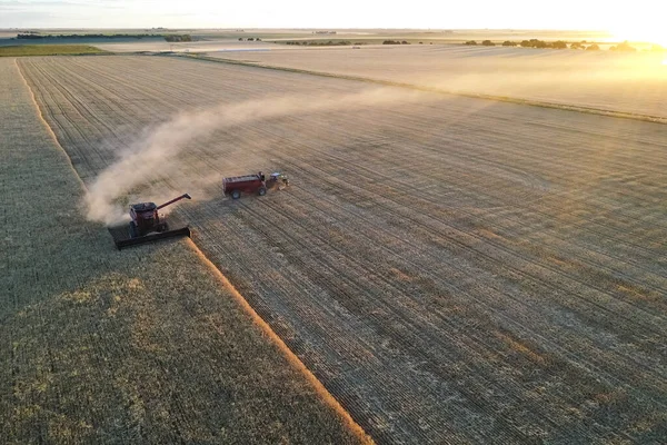 Vista Aérea Cosecha Cebada Pampa Argentina — Foto de Stock