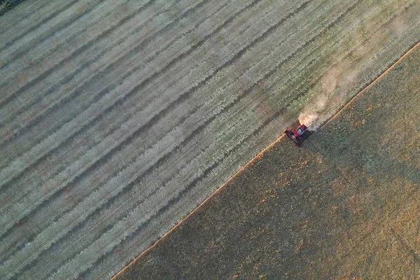 Colheita Cevada Vista Aérea Pampa Argentina — Fotografia de Stock