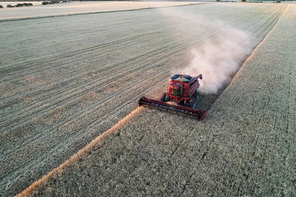 Barley Harvest Aerial View Pampa Argentina — Stock Photo, Image