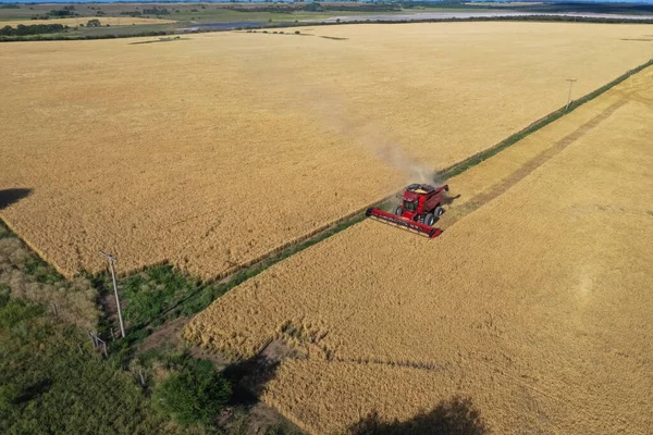 Vista Aérea Cosecha Cebada Pampa Argentina —  Fotos de Stock