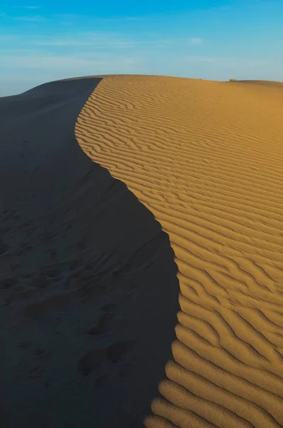 Dune Landskap Pampa Argentina — Stockfoto