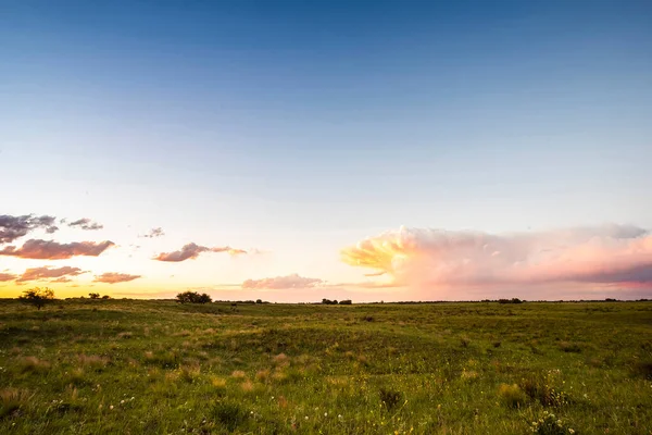 Paisaje Pampeano Argentina —  Fotos de Stock