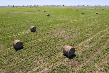 Çimen balyası, La Pampa kırsalında ot deposu, Patagonya, Arg