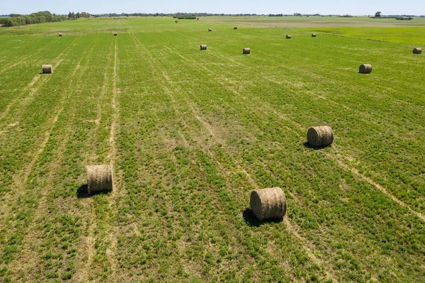 Grama Fardo Armazenamento Grama Pampa Campo Patagônia Arg — Fotografia de Stock