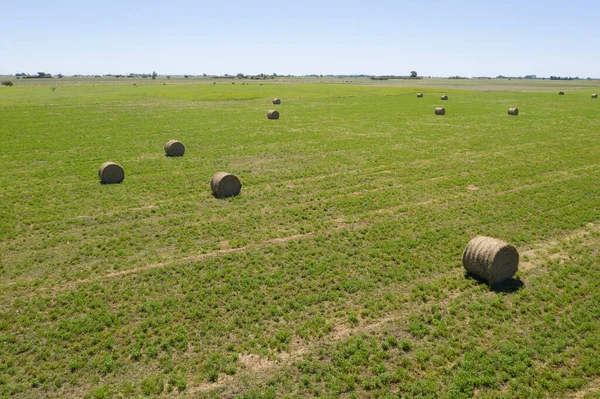 Grass Bale 장소라 Patagonia Arg — 스톡 사진