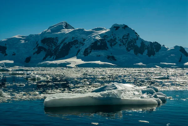 의빙하와 — 스톡 사진