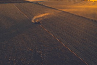 Pampas kırsalında sığır yetiştiriciliği, La Pampa, Arjantin.