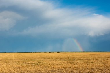 Pampas kırsal alanı, La Pampa Eyaleti, Arjantin