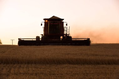 Arjantin kırsalında hasat makinesi, Buen.