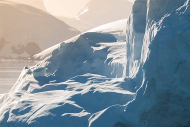 Cennet Körfezi buzulları ve dağlar, Antartik yarımadası, Antarti