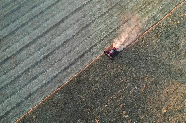 Colheita Cevada Vista Aérea Pampa Argentina — Fotografia de Stock