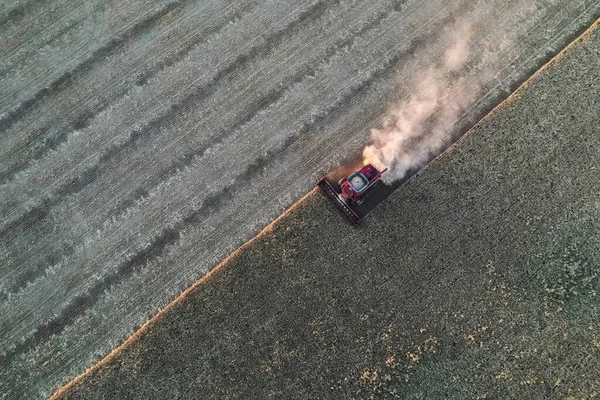 Colheita Cevada Vista Aérea Pampa Argentina — Fotografia de Stock