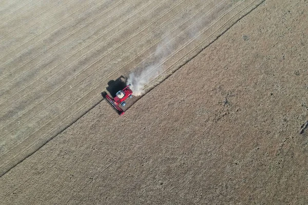 Barley Harvest Aerial View Pampa Argentina — Stock Photo, Image