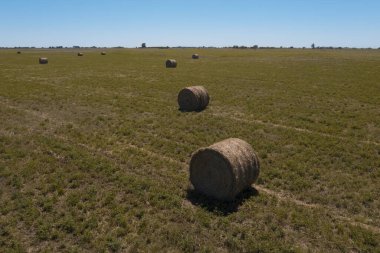 Çimen balyası, La Pampa kırsalında ot deposu, Patagonya, Arg