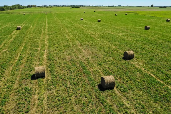 Fardo Grama Armazenamento Grama Pampa Patagônia Argentina — Fotografia de Stock