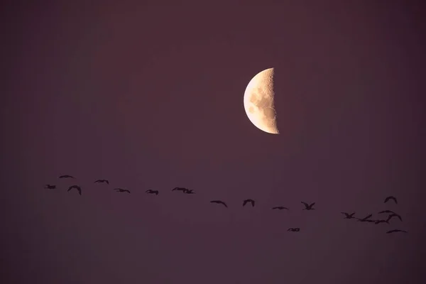 Lune Dans Ciel Clair Avant Tombée Nuit — Photo