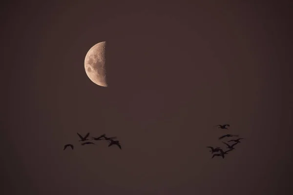 Månen Klar Himmel Innan Mörkret — Stockfoto