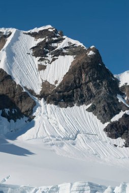 Cennet koyundaki buzullar ve dağlar, Antarktika yarımadası, Karınca