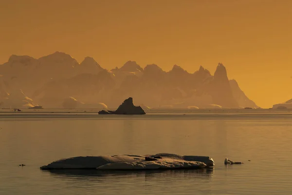 Lemaire Úžina Pobřeží Hory Ledovce Antartica — Stock fotografie