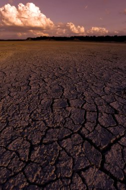 La Pampa, Patagonya, Arjantin 'deki bir Pampas gölünde parçalanmış kuru toprak..