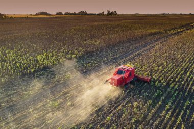 Pampas Kırsalında hasat, hava manzaralı, La Pampa ili, Arjantin.