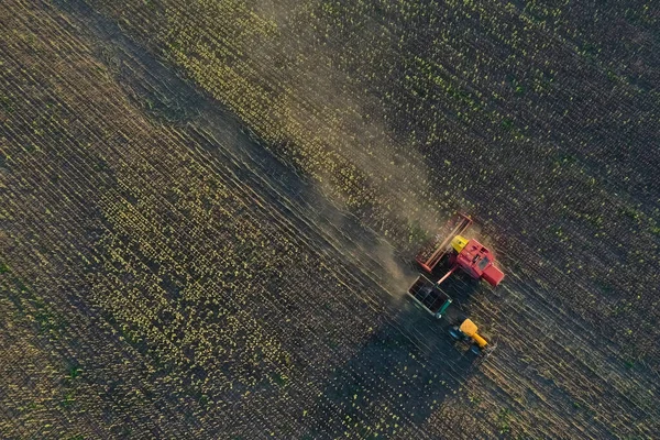 Kombajn Zbożowy Wsi Pampas Widok Powietrza Prowincja Pampa Argentyna — Zdjęcie stockowe