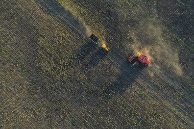 Pampas Kırsalında hasat, hava manzaralı, La Pampa ili, Arjantin.