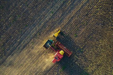 Pampas Kırsalında hasat, hava manzaralı, La Pampa ili, Arjantin.