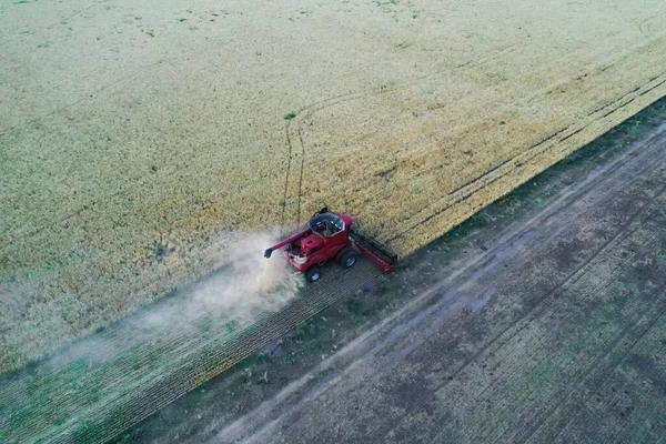 Colheitadeira Pampas Campo Vista Aérea Província Pampa Argentina — Fotografia de Stock