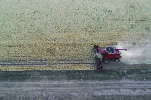 Kombajn Zbożowy Wsi Pampas Widok Powietrza Prowincja Pampa Argentyna — Zdjęcie stockowe