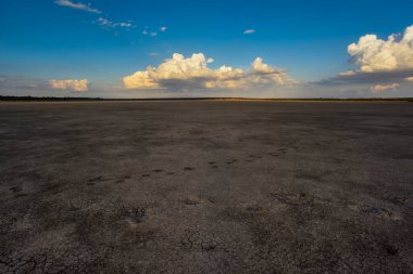La Pampa, Patagonya, Arjantin 'deki bir Pampas gölünde parçalanmış kuru toprak..