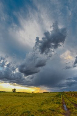 Arjantin 'in kırsal kesimindeki fırtınalı gökyüzü, La Pampa, Patagonya, Arjantin.