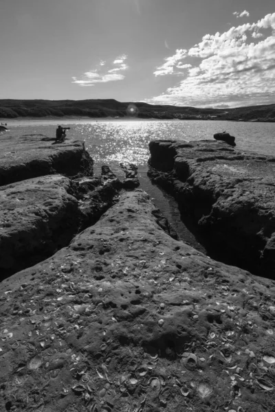 半島の崖と海岸の風景Valdes 世界遺産 パタゴニアアルゼンチン — ストック写真