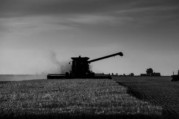 Harvester Machine Harvesting Argentine Countryside Buenos Aires Province Argentina — Stock Photo, Image