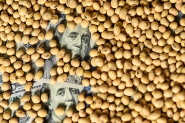 Dolar banknotları, madeni paralar ve soya fasulyesi, emtia değeri kavramı..