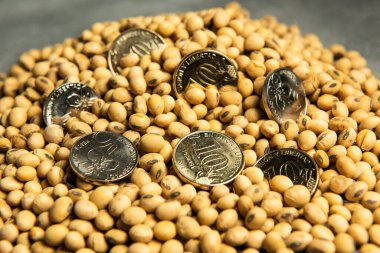 Dolar banknotları, madeni paralar ve soya fasulyesi, emtia değeri kavramı..