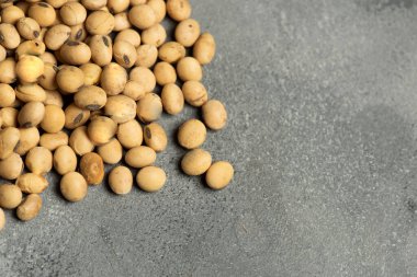 Buenos Aires Kırsal Bölgesi, Arjantin 'de hasat edilen soya fasulyelerinin detaylarını kapatın..