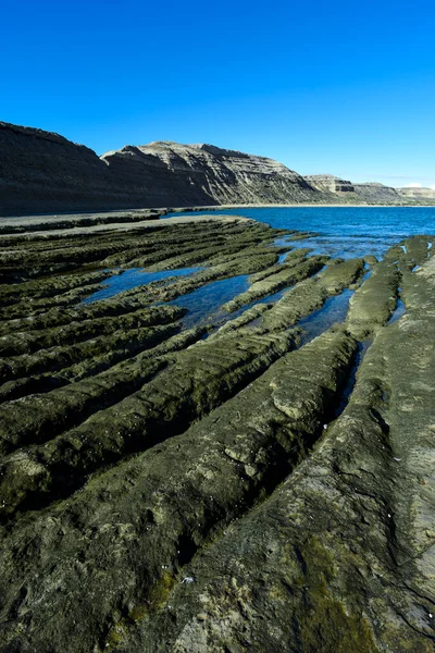 Paisagem Costeira Com Falésias Península Valdes Patrimônio Mundial Patagônia Argentina — Fotografia de Stock