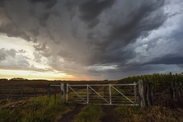 Stormy sky due to rain in the Argentine countryside, La Pampa province, Patagonia, Argentina.