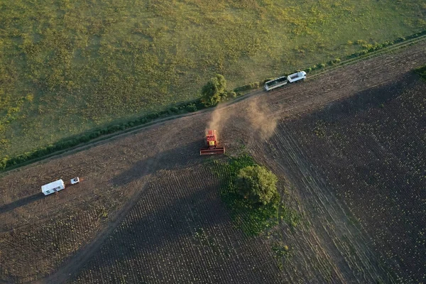 Pampas Countryside Airview Pampa Province Argentina — 스톡 사진