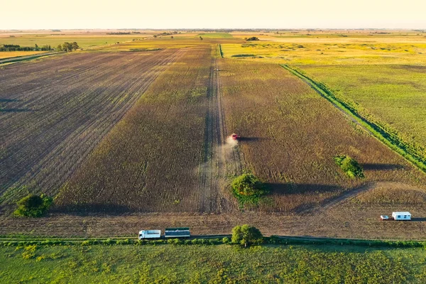 Sklizeň Venkově Pampas Letecký Výhled Provincie Pampa Argentina — Stock fotografie