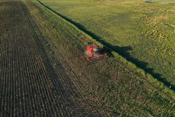 Récolteuse Pampas Campagne Vue Aérienne Province Pampa Argentine — Photo