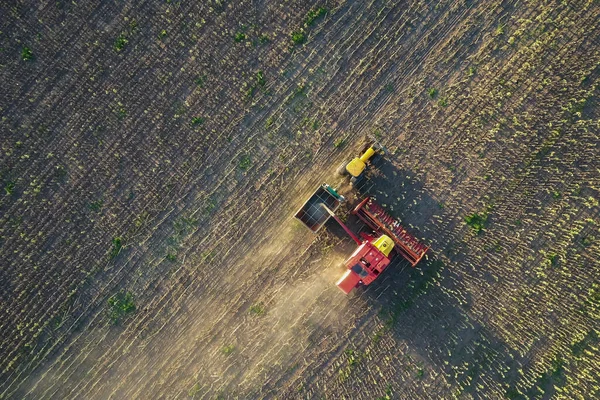 Pampas Countryside Airview Pampa Province Argentina — 스톡 사진