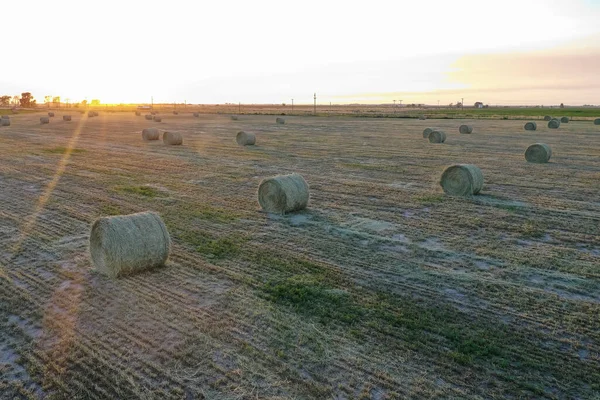 Fardo Grama Campo Pampas Província Buenos Aires Argentina — Fotografia de Stock