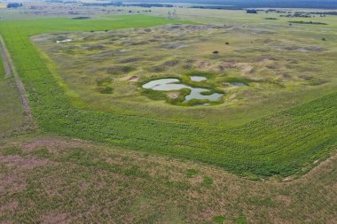 Taze su kaynağı, Pampas manzarası, Patagonya, Arjantin